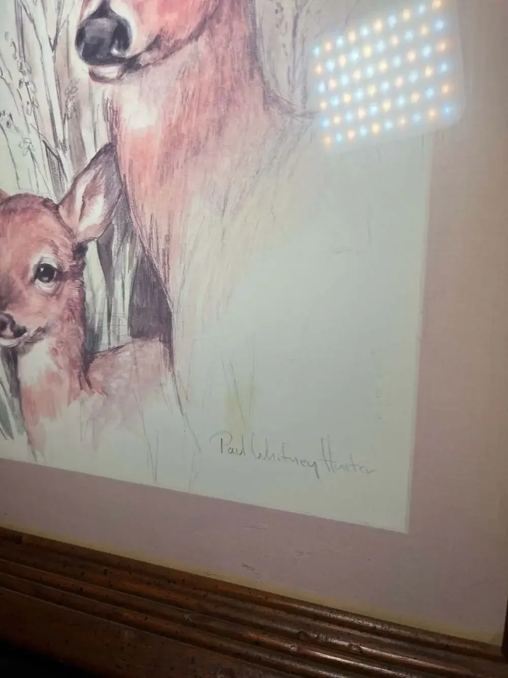 Paul Whitney Hunter Framed Deer and Fawn Print
